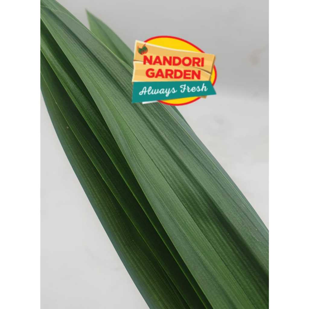 

Nandori Garden Pandan Segar 1 ikat
