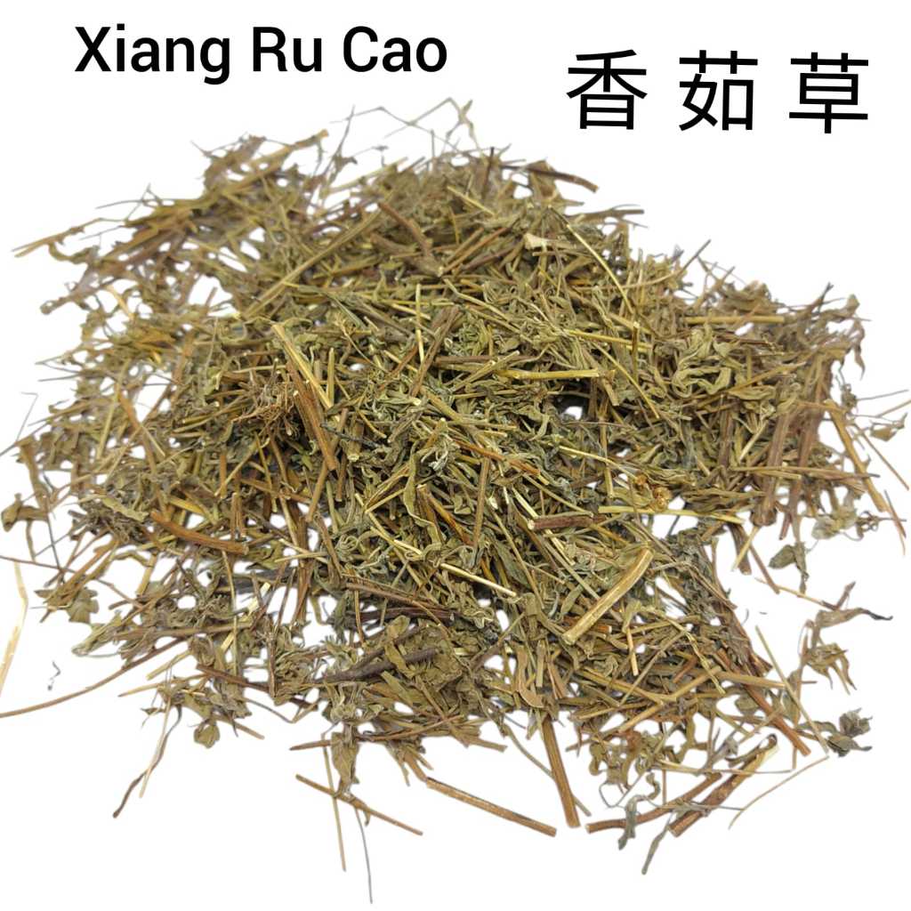 

600 Gram Xiang Ru Cao 香茹草 Chinese Mosla Herb