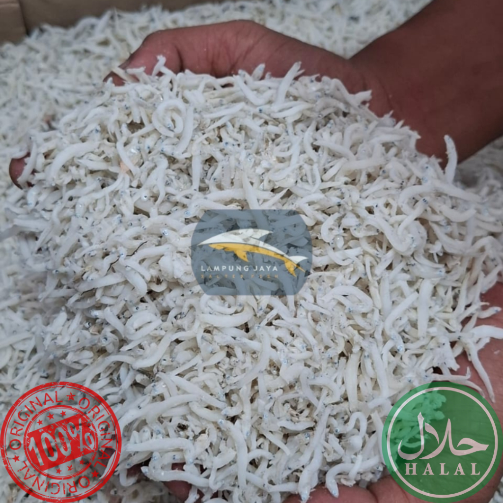 

{BISA COD} 1KG TERI NASI JUMBO BERKUALITAS - HARGA GUDANG TERMURAH, DISTRIBUTOR PERTAMA DARI PETANI