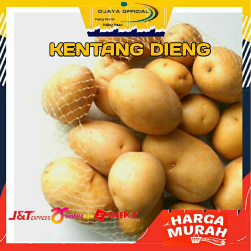 

Kentang Dieng Kuning Ukuran Sedang 1kg