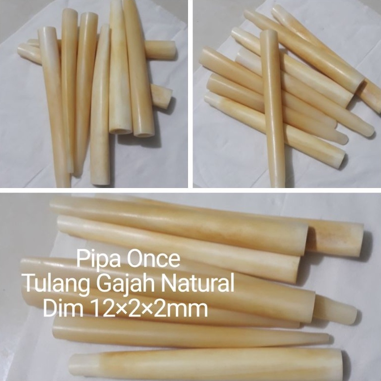 KODE I94S NATURAL PIPA ONCE TULANG GAJAH KUNING