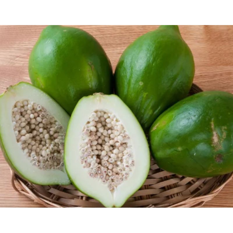 

PEPAYA MUDA SEGAR ORDER LANGSUNG PETIK 1 kg