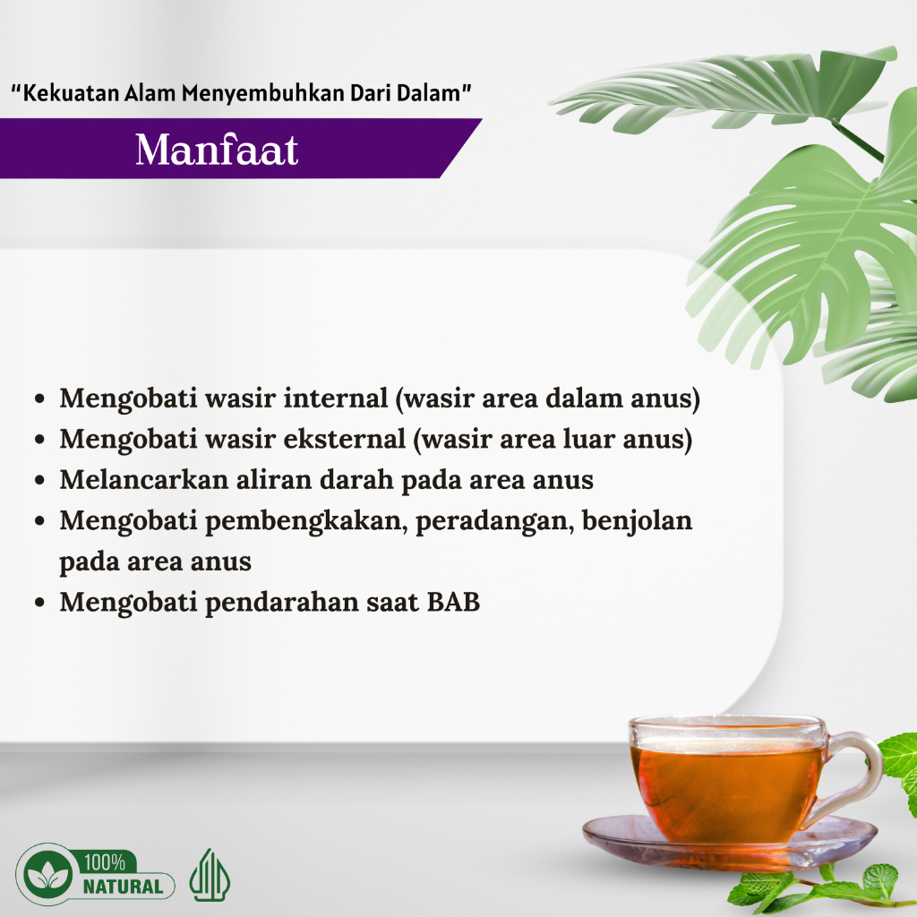 

Operasi Wasir Ambein Batal, Sehat Sembuh Alami Dengan Program Teh Daun Ungu Ranjana Herbal