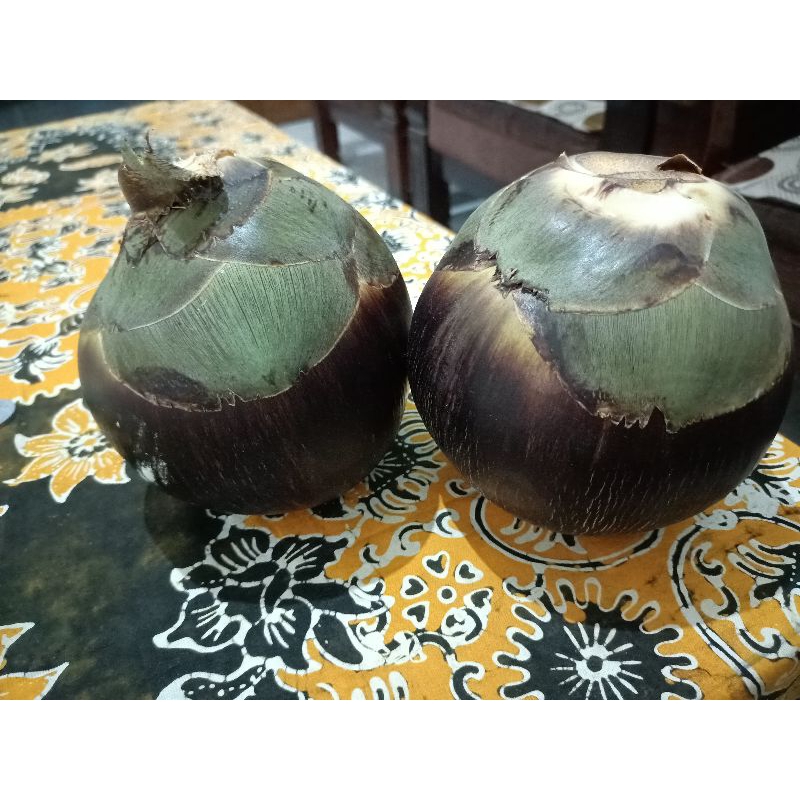 

Buah Lontar Super Big Sortiran,Satu Buah Utuh Bulat Kesegaran Smpai 15 Hari