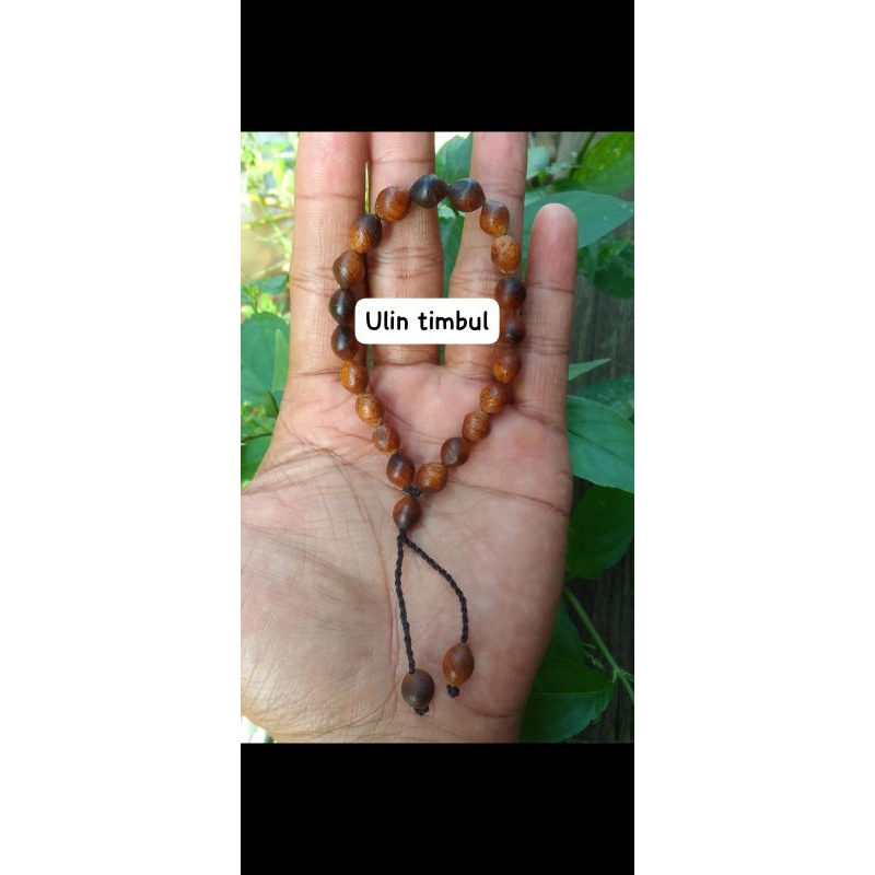 gelang ulin timbul manang / kayu besi terapung