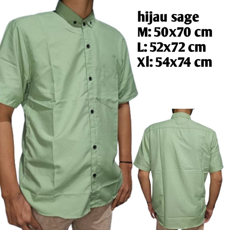 KEMEJA HIJAU SAGE/ KEMEJA POLOS PRIA HIJAU SAGE PENDEK DEWASA