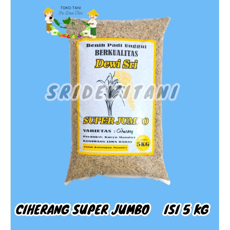 BIBIT BENIH PADI CIHERANG SUPER JUMBO 5 KG BIBIT BERKUALITAS UNGGUL /IR64/CIBATU/INPARI 32/MAPAN