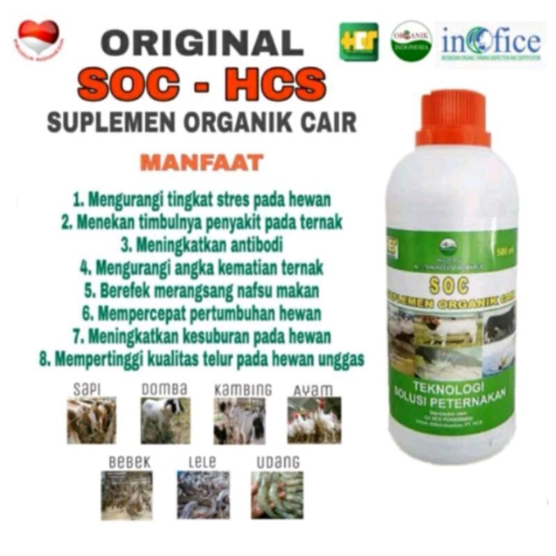 SOC HCS Probiotik Suplemen Ternak