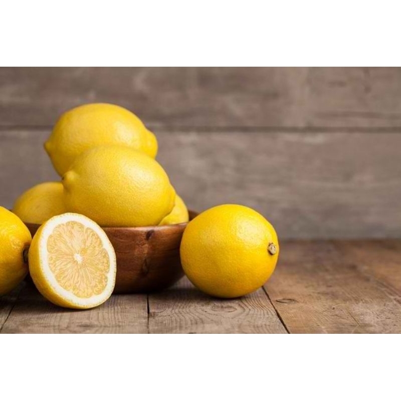 

BIBIT LEMON CALIFORNIA KONDISI BERBUAH DAN BERBUNGA