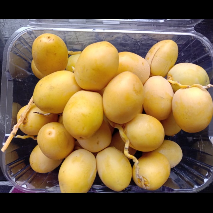 

KURMA YELLOW perpack