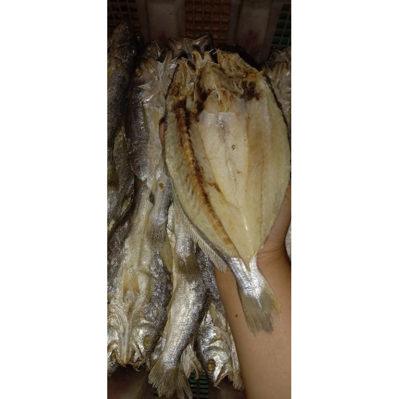 

ikan asin selungsungan 1kg