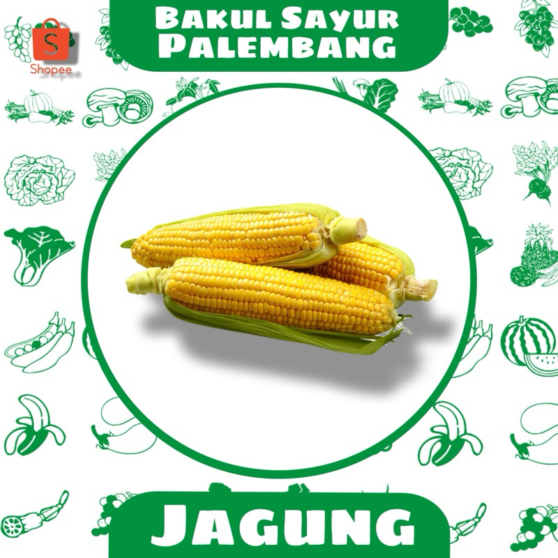 

Jagung Manis (PALEMBANG)