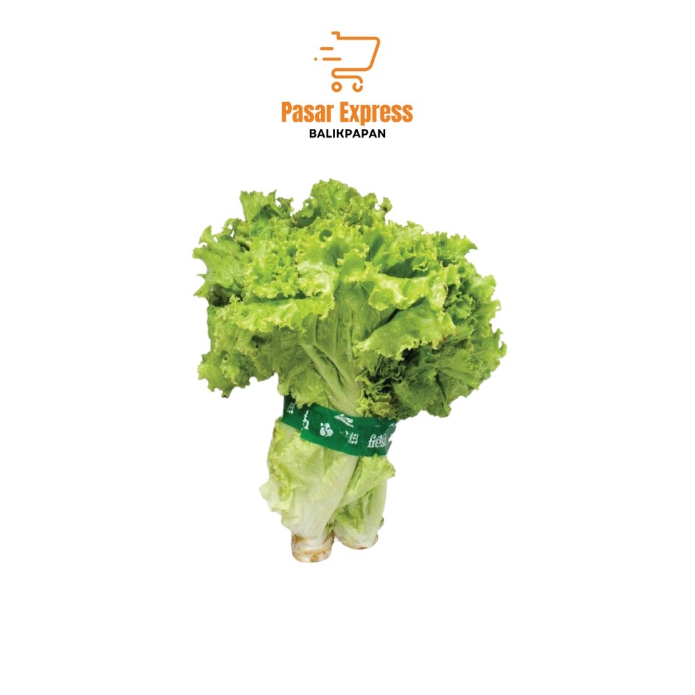 

Selada (Per Ikat) - Pasar Express Balikpapan