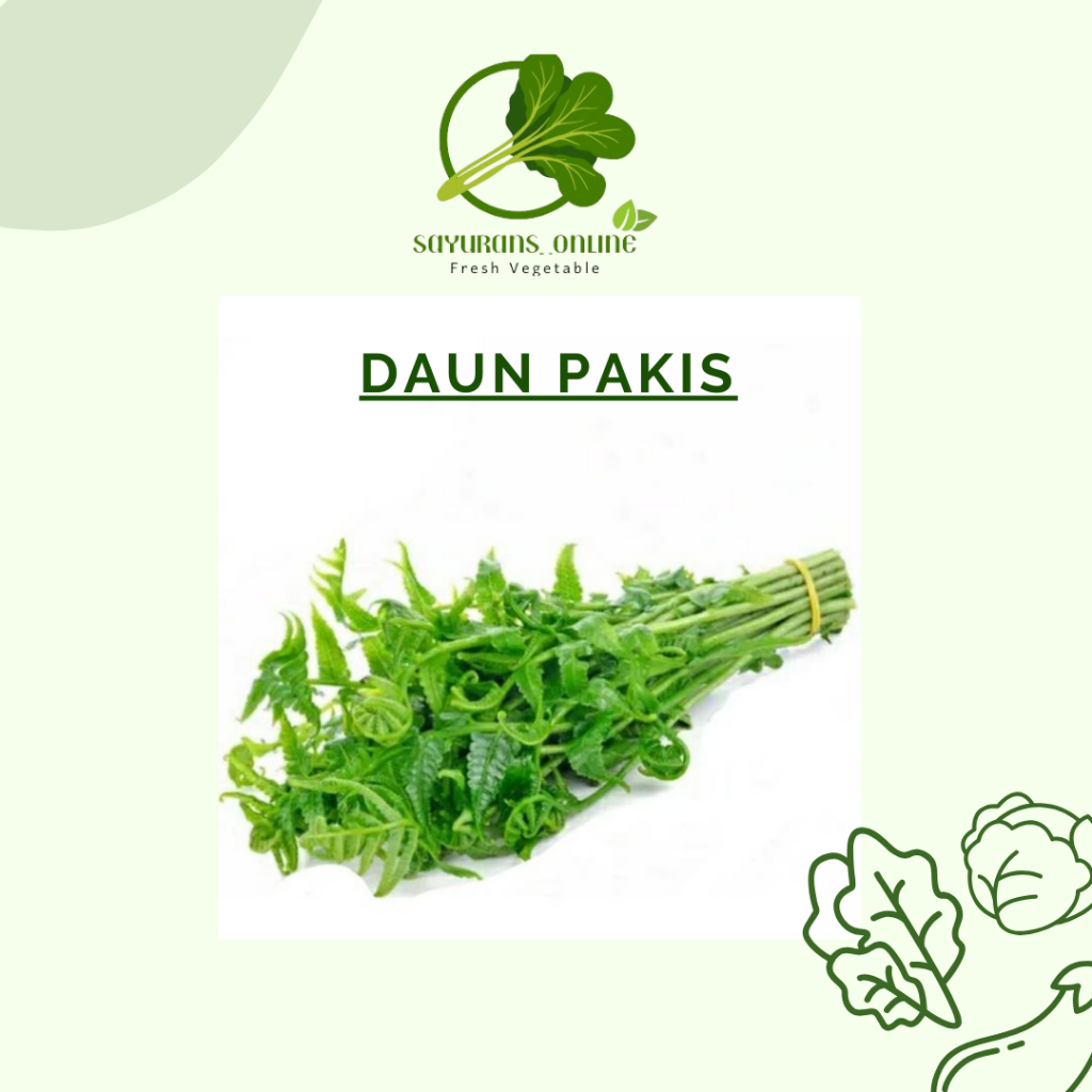 

daun pakis 1ikat