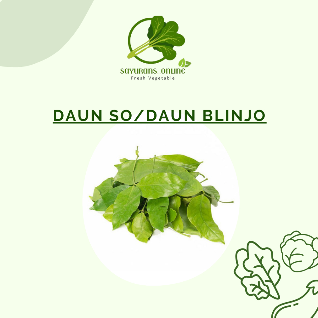 

daun so/ daun mlinjo