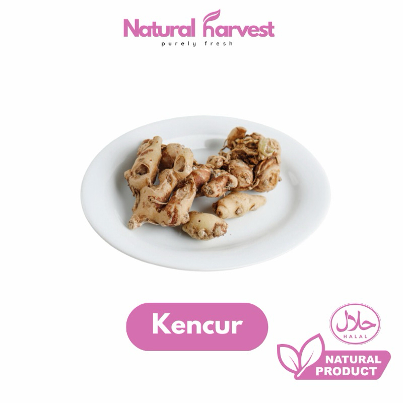 

Kencur Super 100gr | NaturalHarvest!