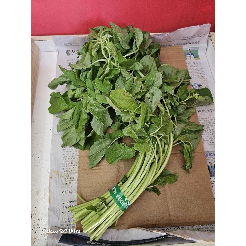 

Bayam Hijau
