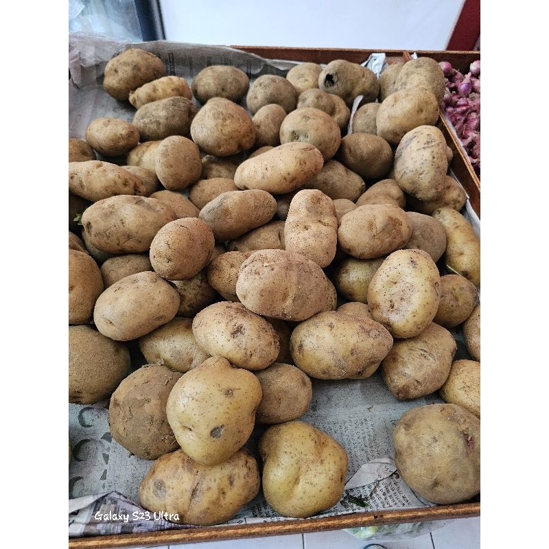 

Kentang dieng 500gr