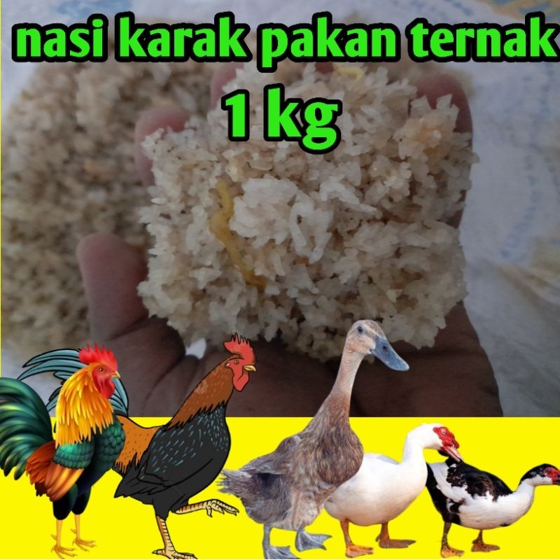 Nasi Karak/Nasi aking /nasi kering pakan ternak 1kg