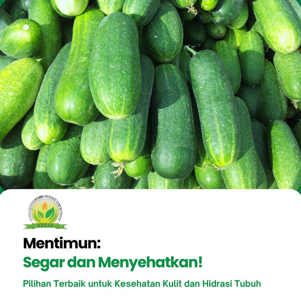 

Mentimun - Koperasi Plasma Agri Kundur