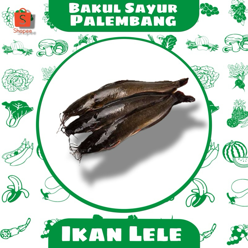 

ikan lele (PALEMBANG)