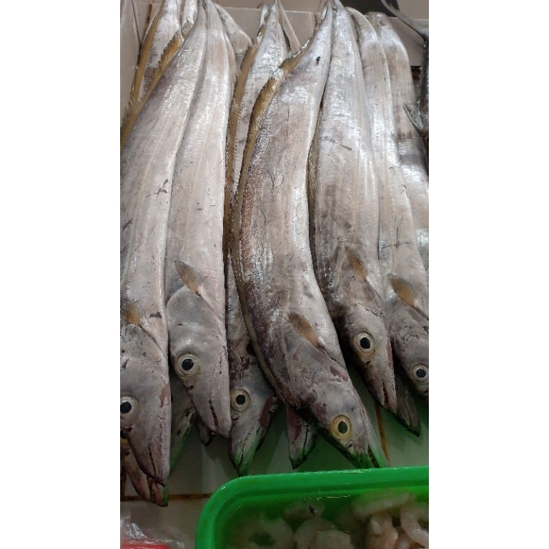 

ikan layur 1kg