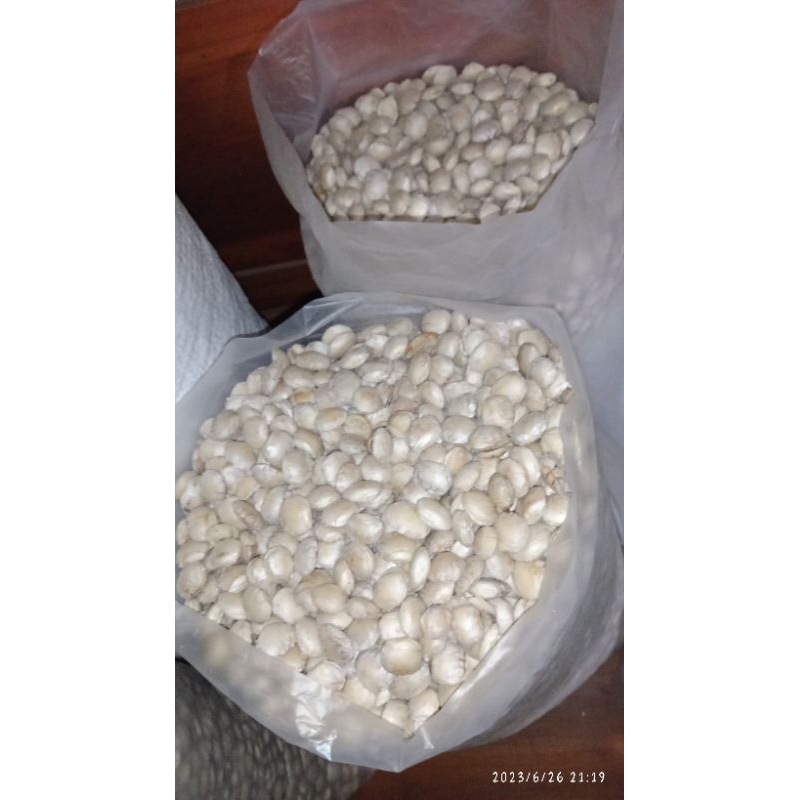 

Kacang sacha inchi kupas mentah isi 100 gram