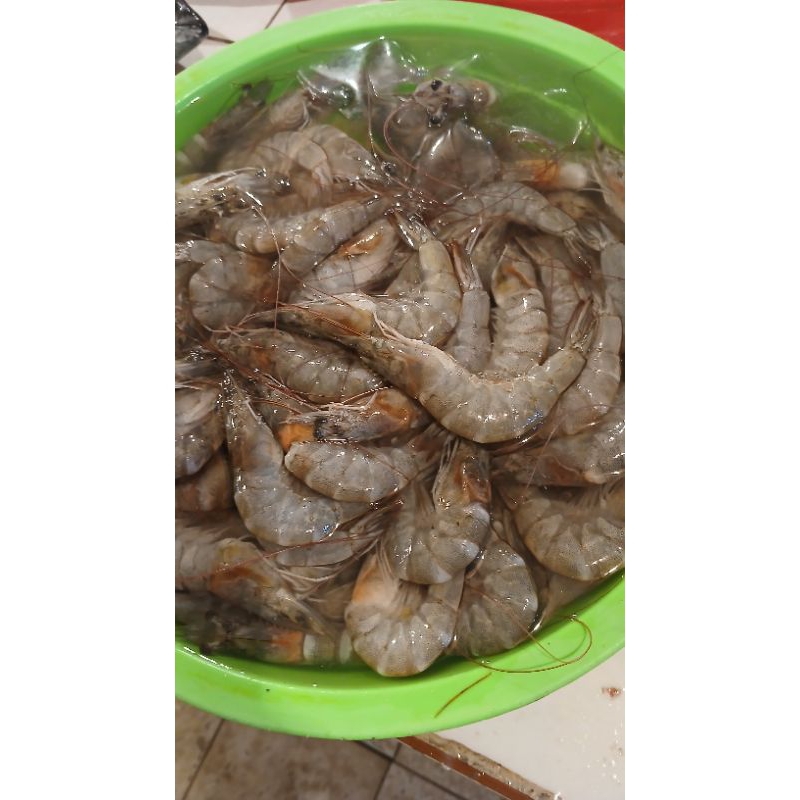 

udang peci sedang2 fresh 500gram