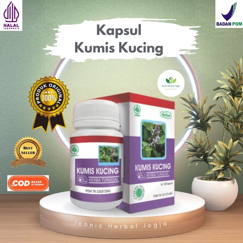 Kapsul Kumis Kucing HIU Original Obat Herbal ISK Batu Ginjal Dan Asam Urat