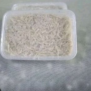 

ikan teri nasi box Medan