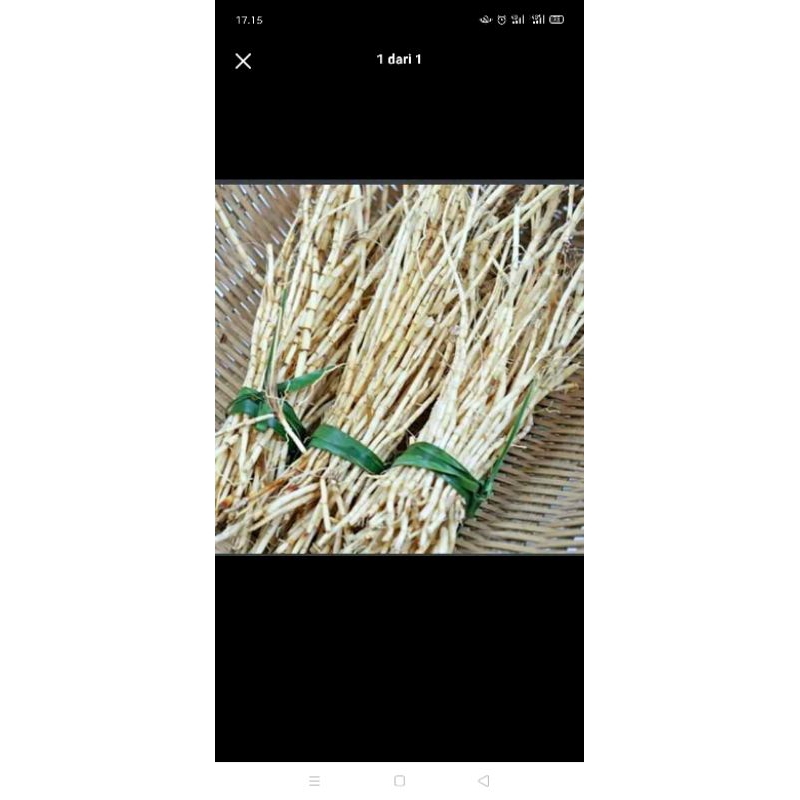 

akar alang-alang segar 100gr