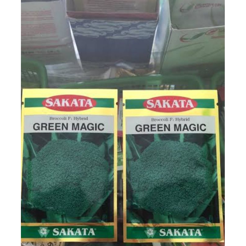 bibit kembang kol GREEN MAGIC