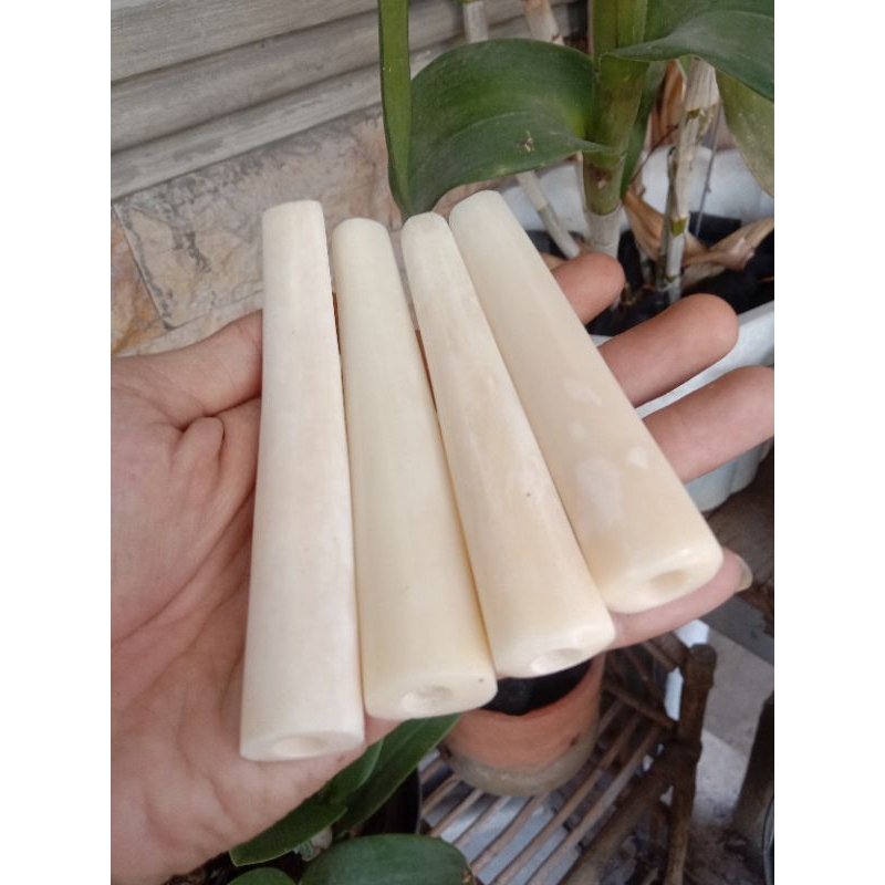 Pipa Once Tulang Asli