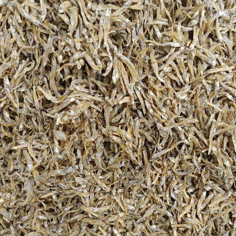 

Teri Kriwil Teri Super