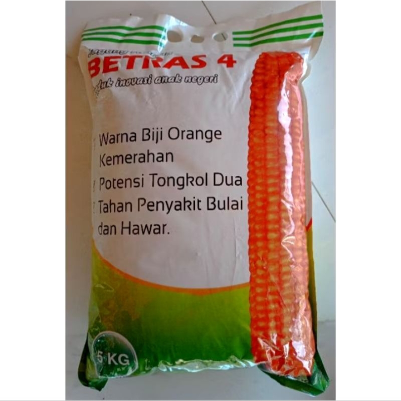 benih jagung betras 4 kemasan 5kg