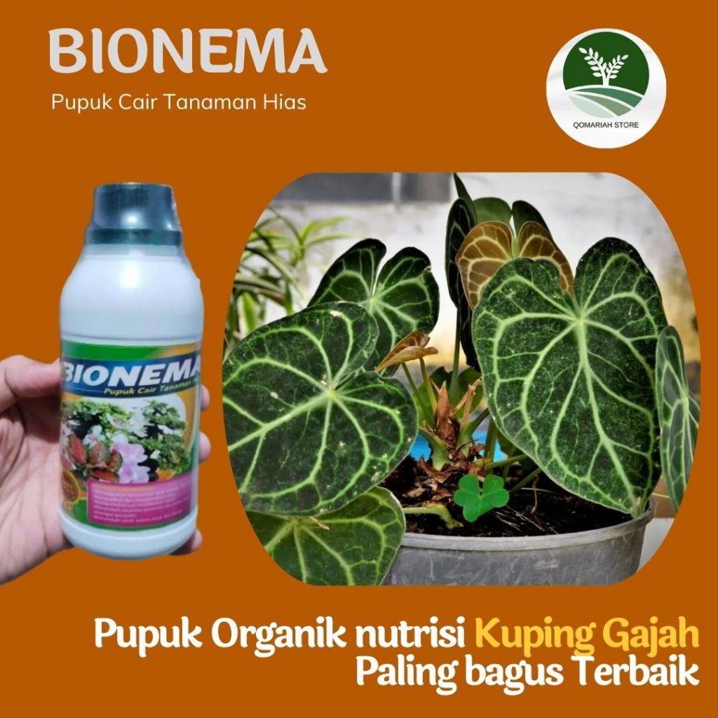 (REKOMENDED) BIONEMA 250ml pupuk organik tanaman hias kuping gajah paling bagus terbaik - obat pembe