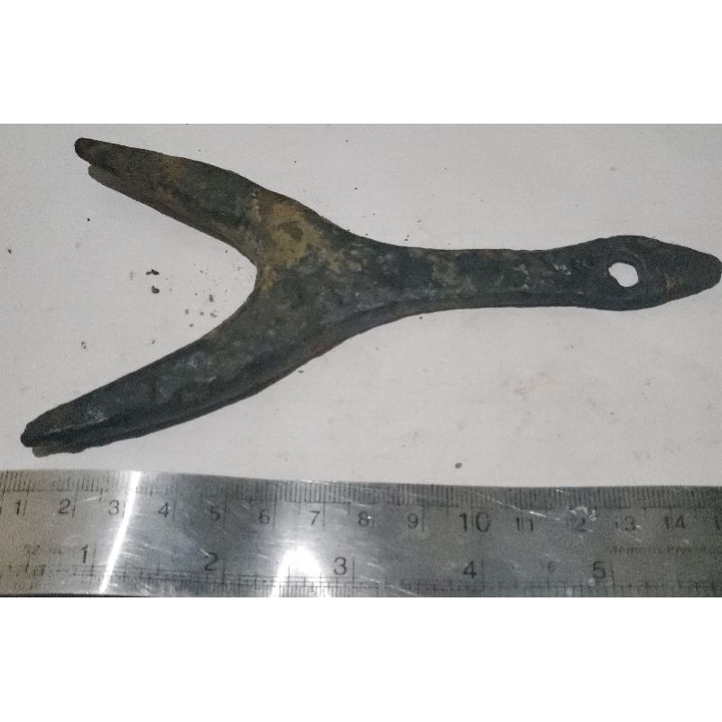 1 biji dwisula 15cm temuan sungai