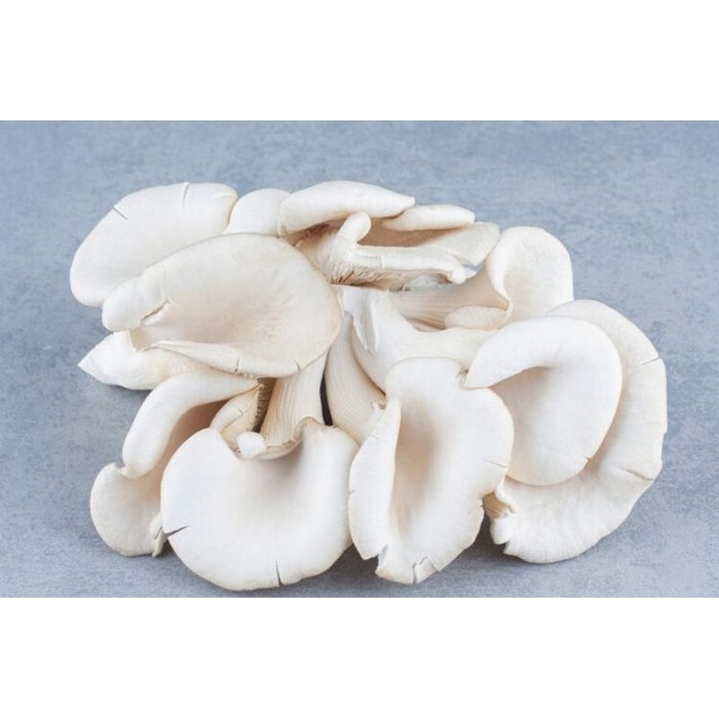 

jamur tiram berat 500grm