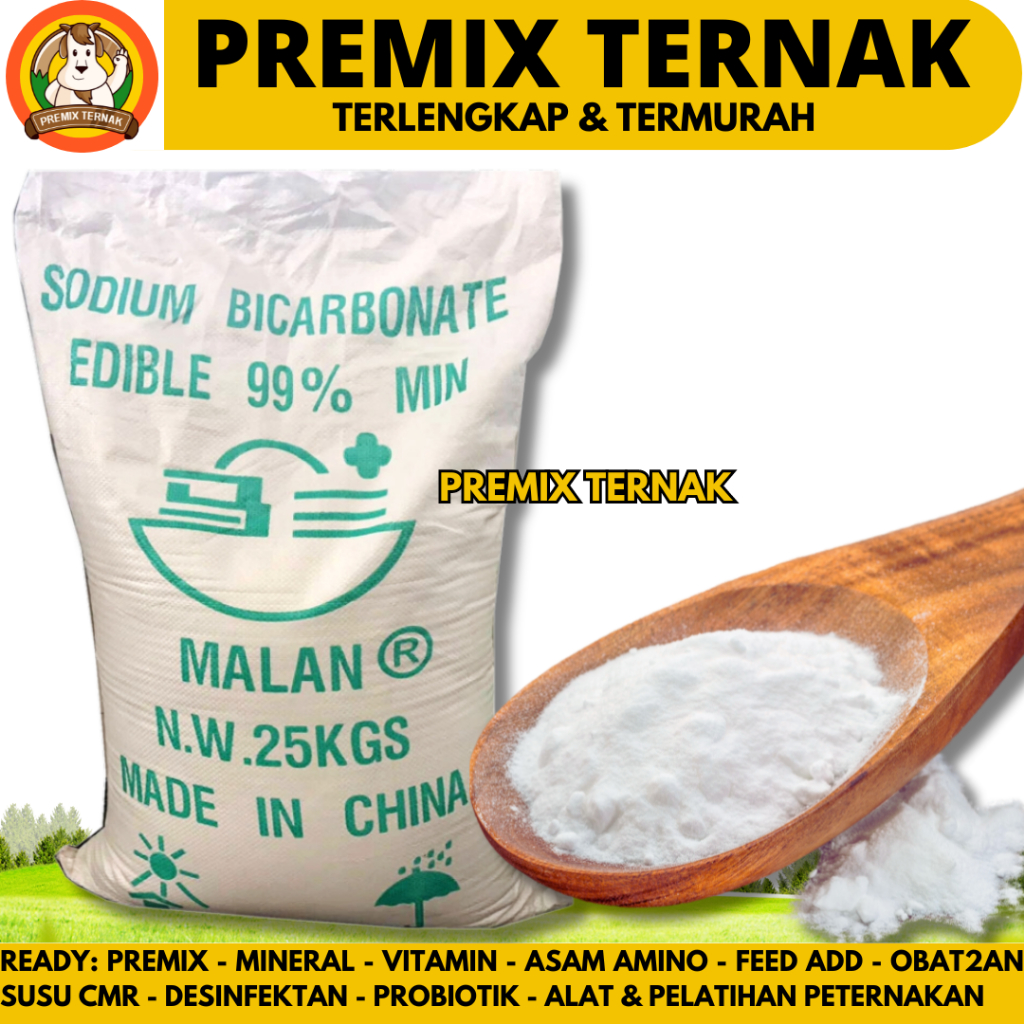 

SODA KUE 25KG - SODIUM BICARBONATE 25KG (1 SAK) - BAKING SODA - Baking Soda Food Grade