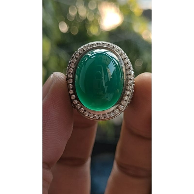 BACAN GULAU HIJAU PEKAT MUMBUL LAWAS