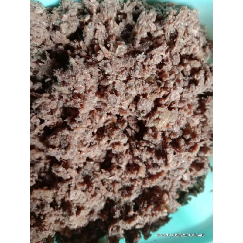 

TERASI LAMPUNG ASLI LABUHAN MARINGGAI TERASI BASAH