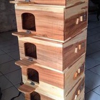 Flash Sale Gupon Merpati Rumah Burung Dara