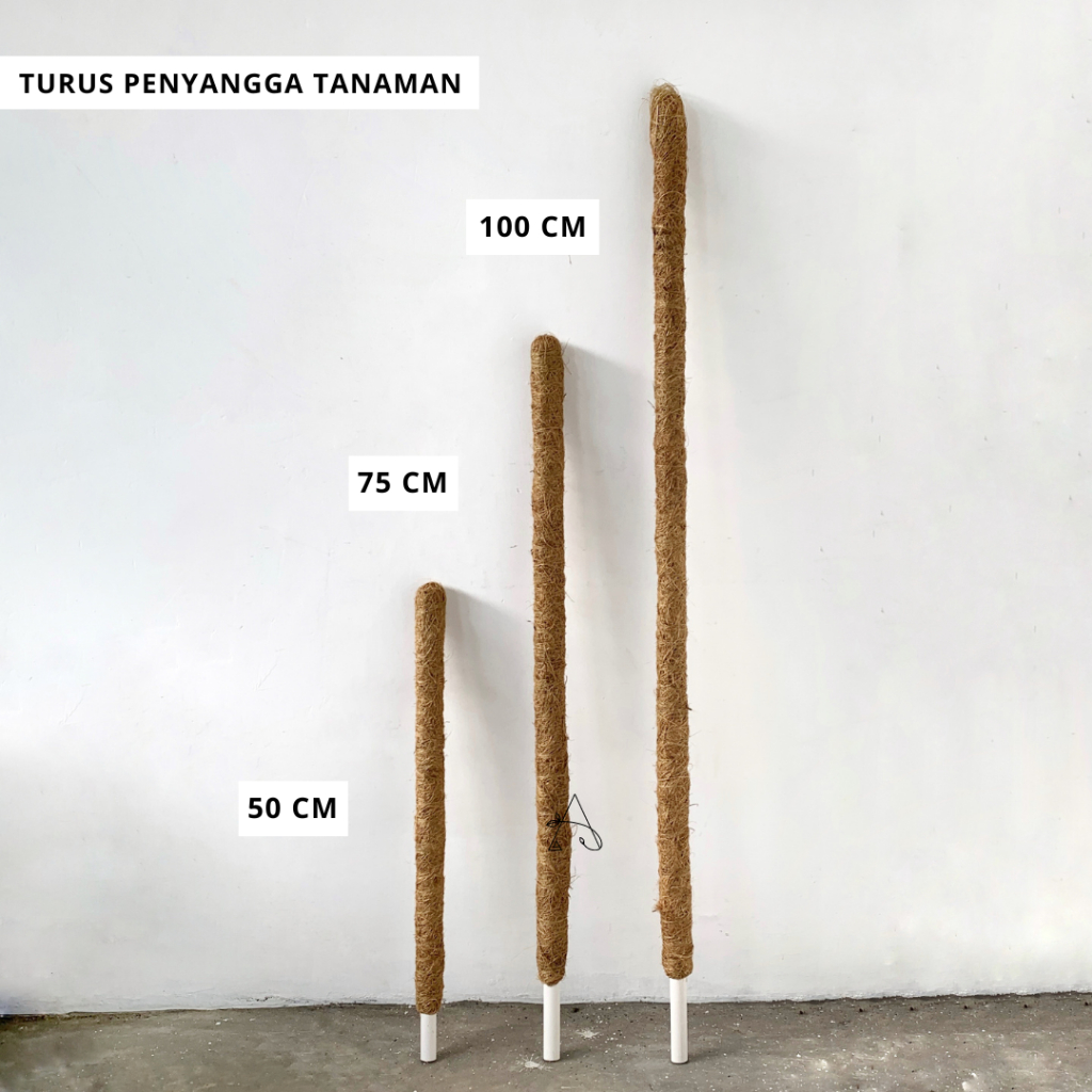 Turus Penyangga Tanaman  | Penyangga Tanaman Sabuk
