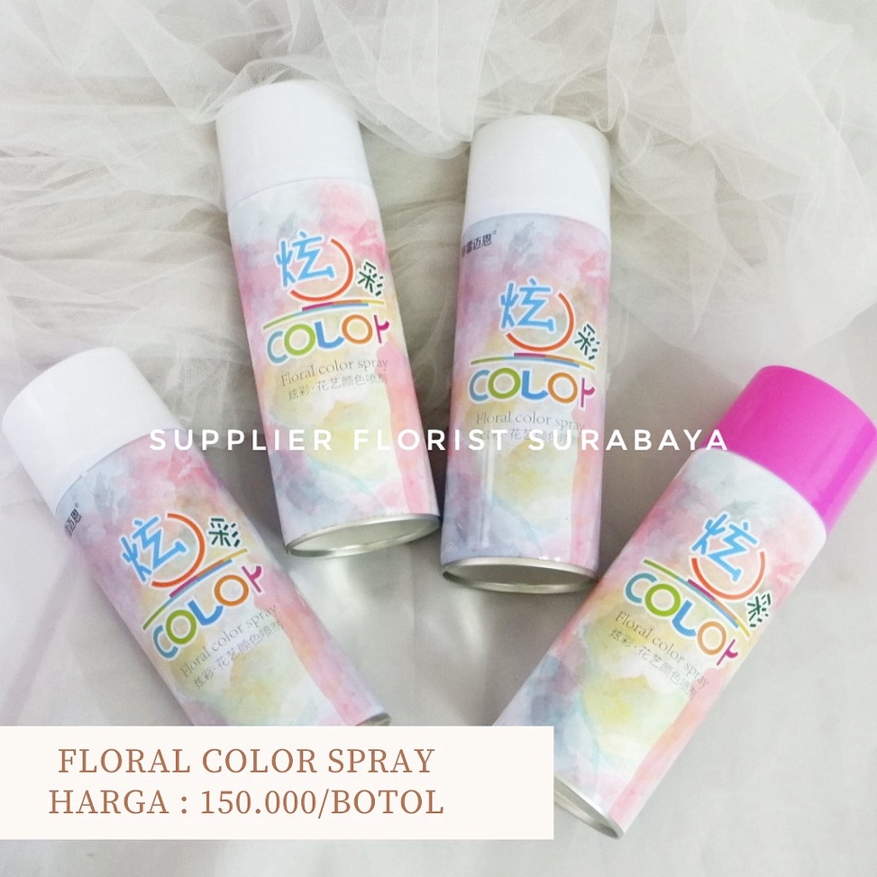 

FLORAL COLOR SPRAY CEPAT KERING PENGUBAH WARNA BUNGA ASLI SEMPROTAN BUNGA CAT BUNGA PILOX PYLOX UNTUK BUNGA ASLI PEWARNA CAT BUNGA ASLI DESIGN MASTER KODE W6T5