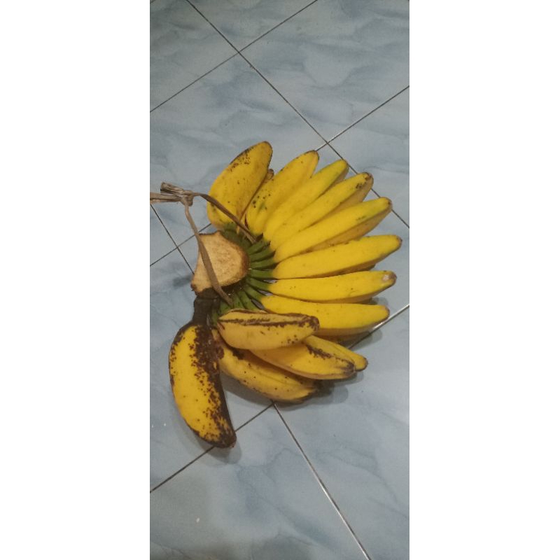 

Pisang Kepok Merah