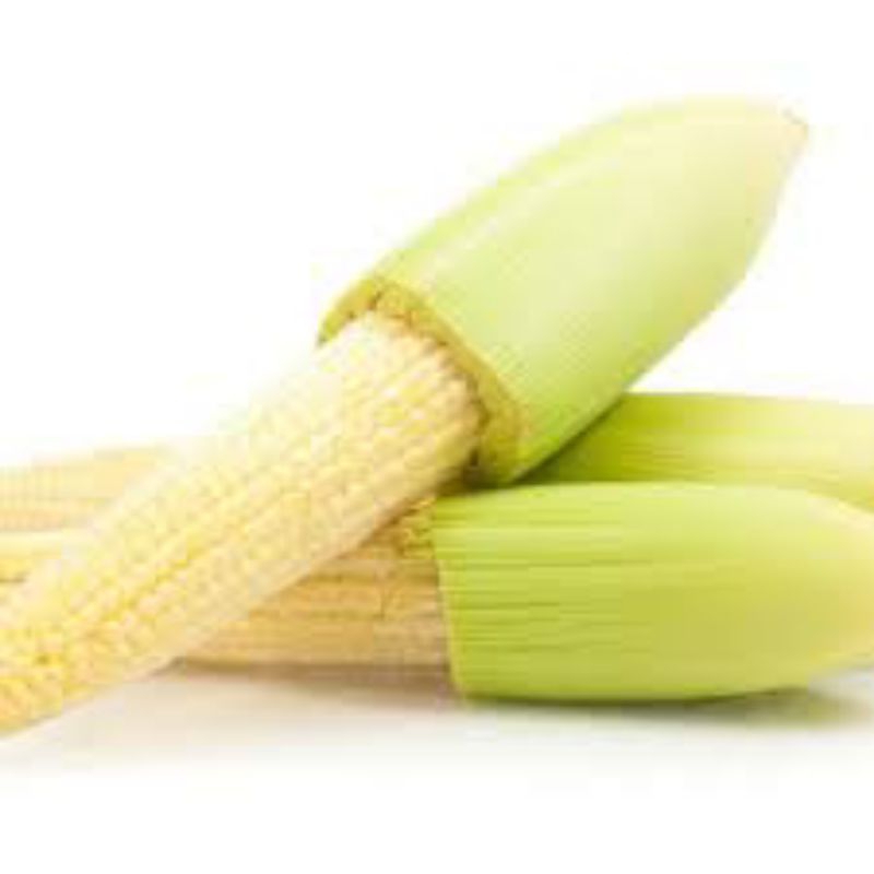 

putren/jagung baby 500gram