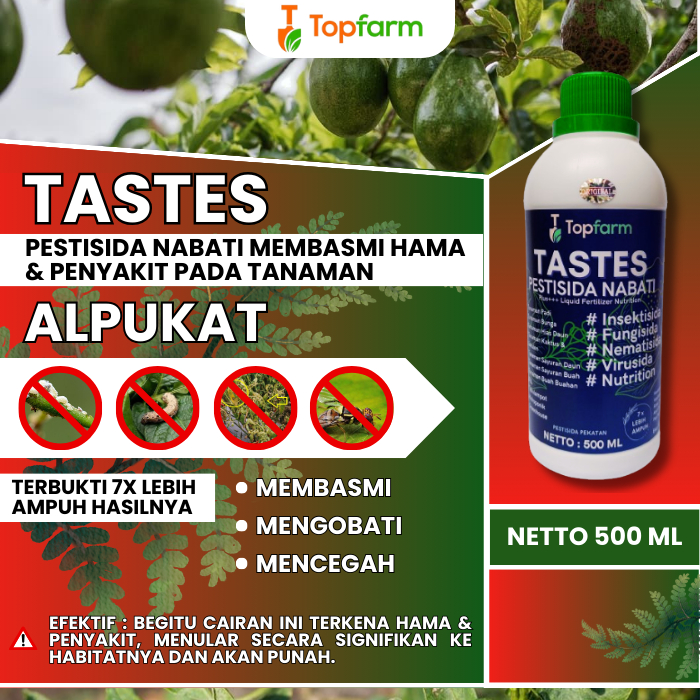 Obat Hama Daun Alpukat / Obat Pembasmi Hama Daun Alpukat / Obat Hama Untuk Pohon Alpukat / Obat Hama
