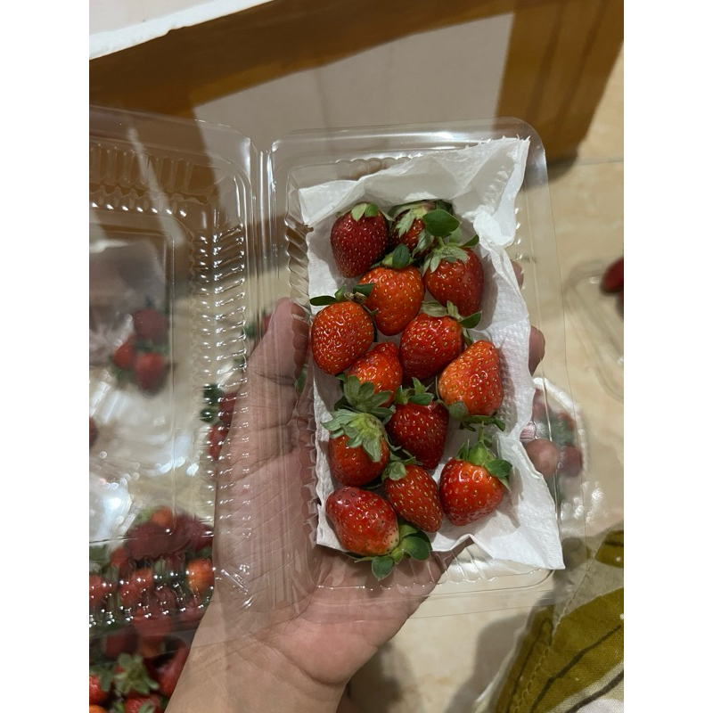 

Strawberry fresh Grade C (ukuran kecil) Isi 12-13 Buah