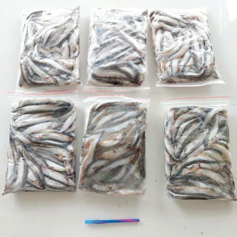 

Ikan Shisamo Ekonomis 1 kg