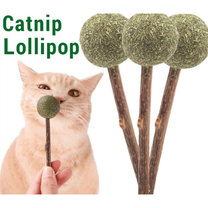Catnip lolipop - catnip mint ball - catnip - catnip cemilan sehat kucing anjing
